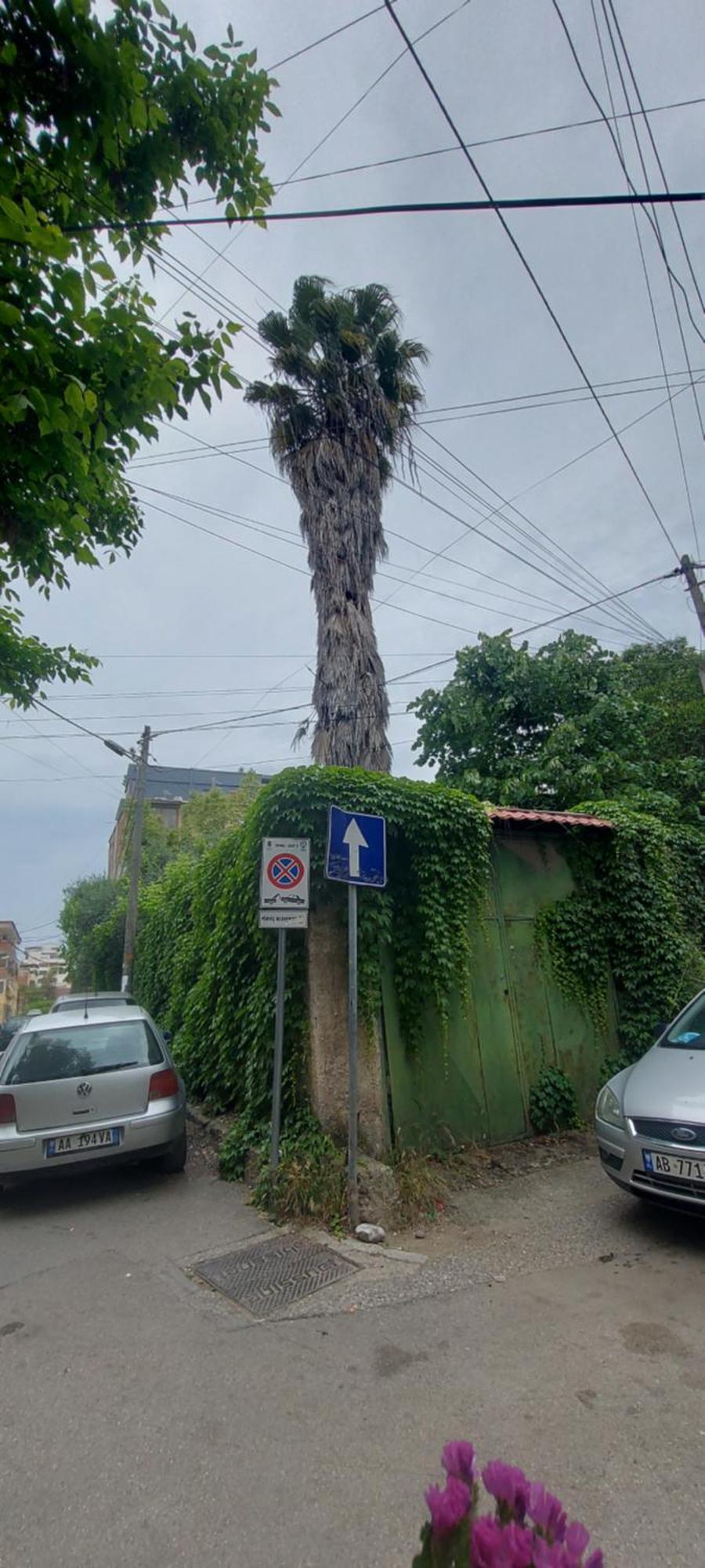 La Piccola Bellezza Apartment Tirana